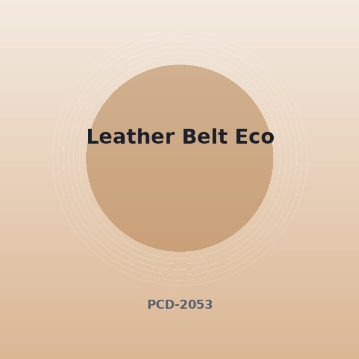 Ceinture en cuir Éco